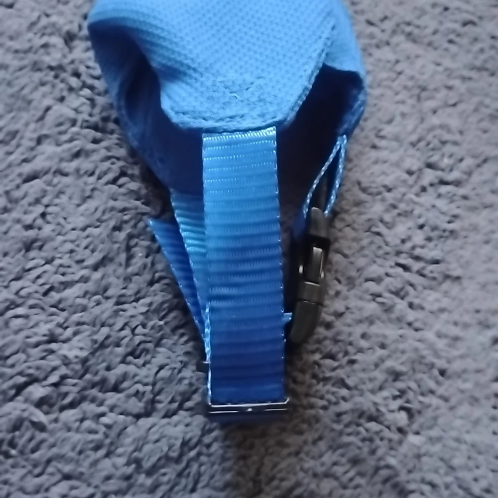 Comfortable Blue Dog Muzzle